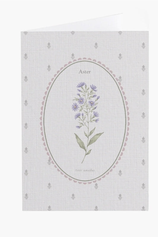 Aster Flower Card