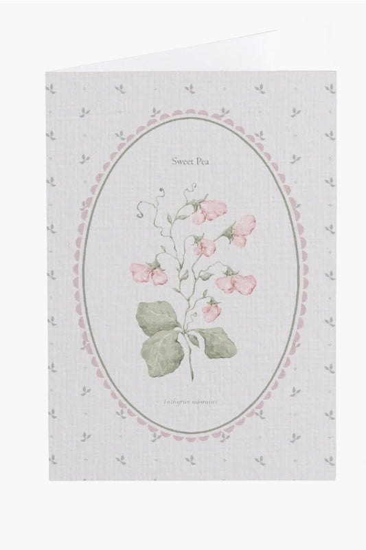 Sweet Pea Flower Card