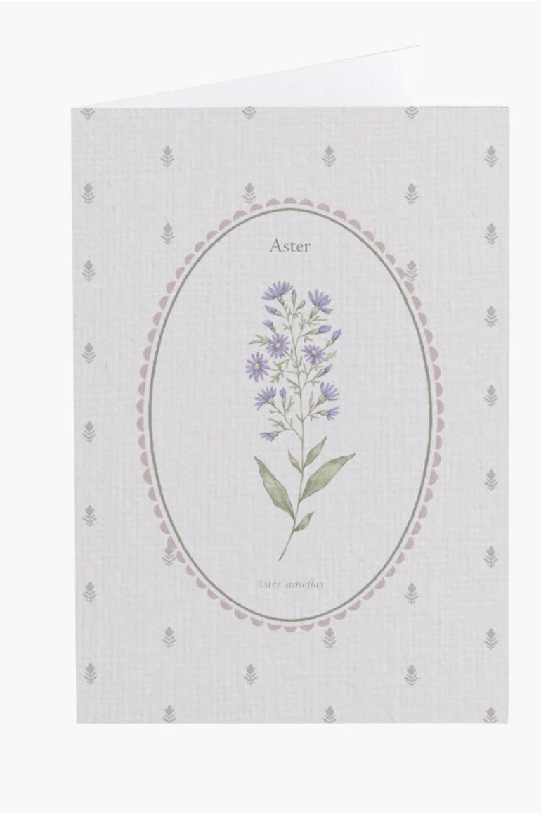 Aster Flower Card