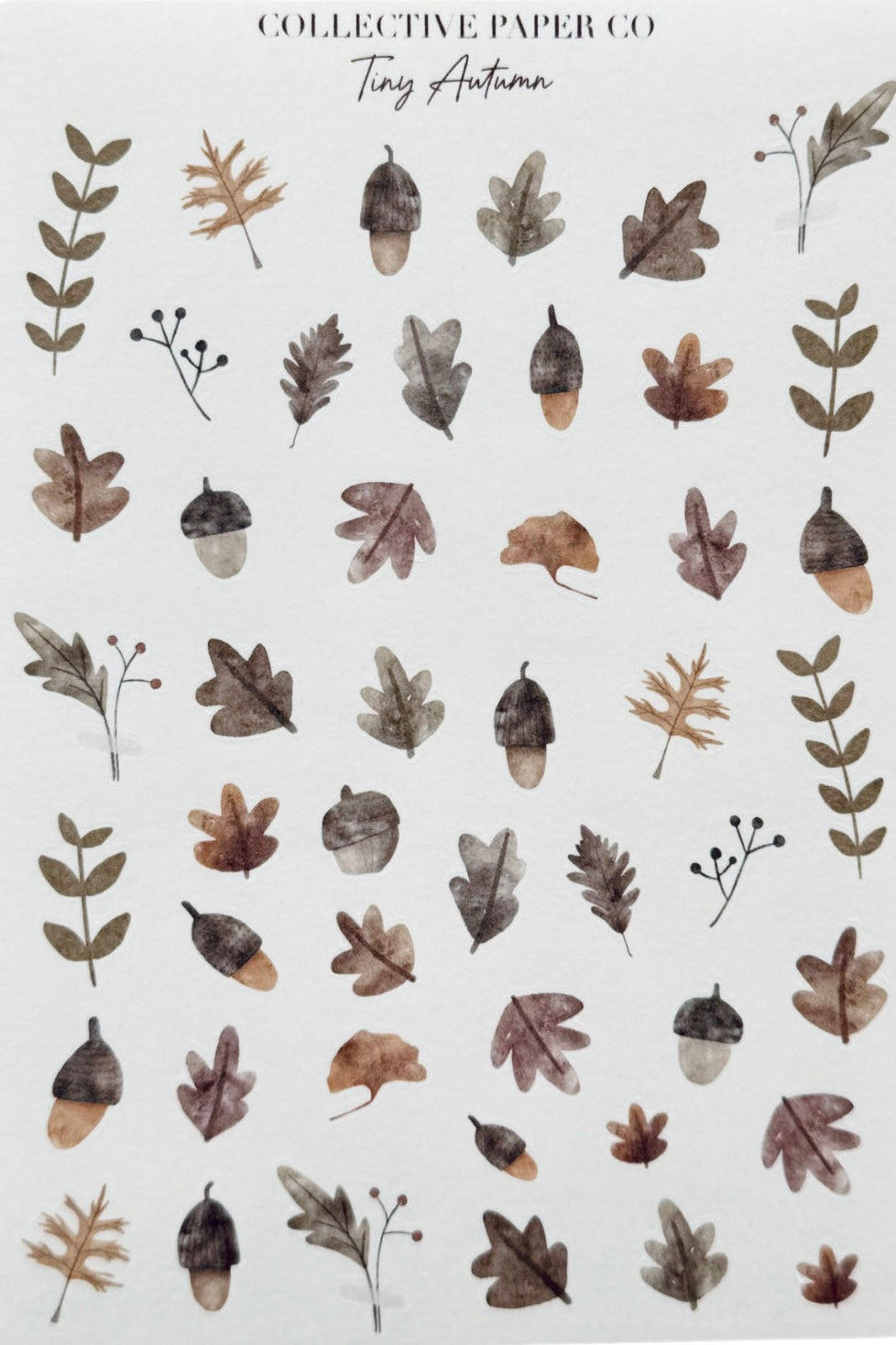 Tiny Autumn