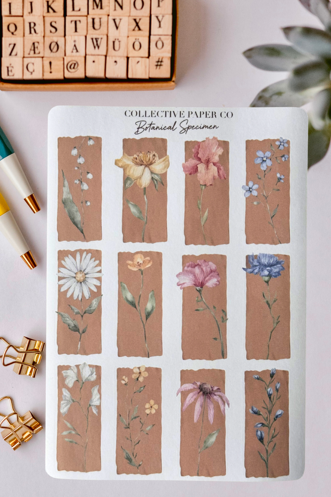 Collective Paper Co.'s Botanical Specimens washi tape displays watercolor stems and blooms of yellow lilies, pink irises, blue forget-me-nots, daisies, coneflowers, and delphiniums on beige backgrounds.