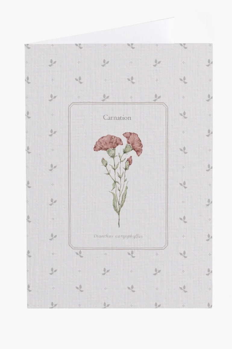 Carnation Flower Card