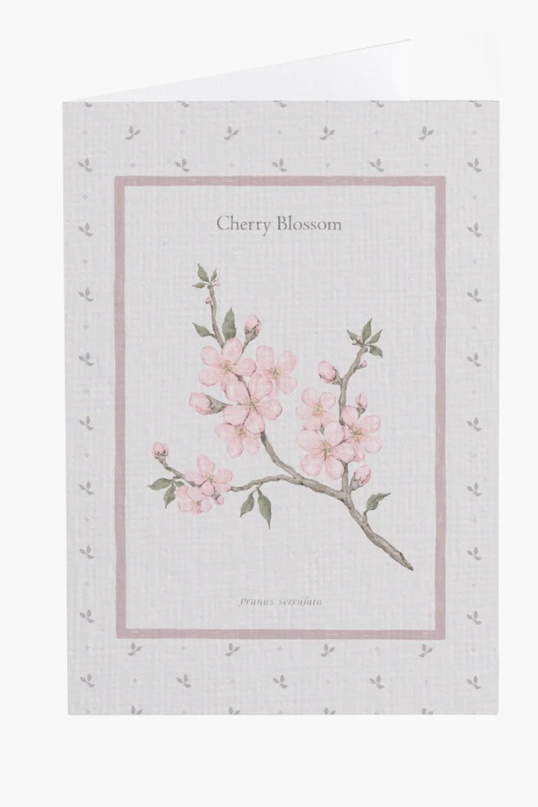 Cherry Blossom Flower Card