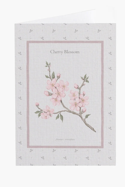 Cherry Blossom Flower Card