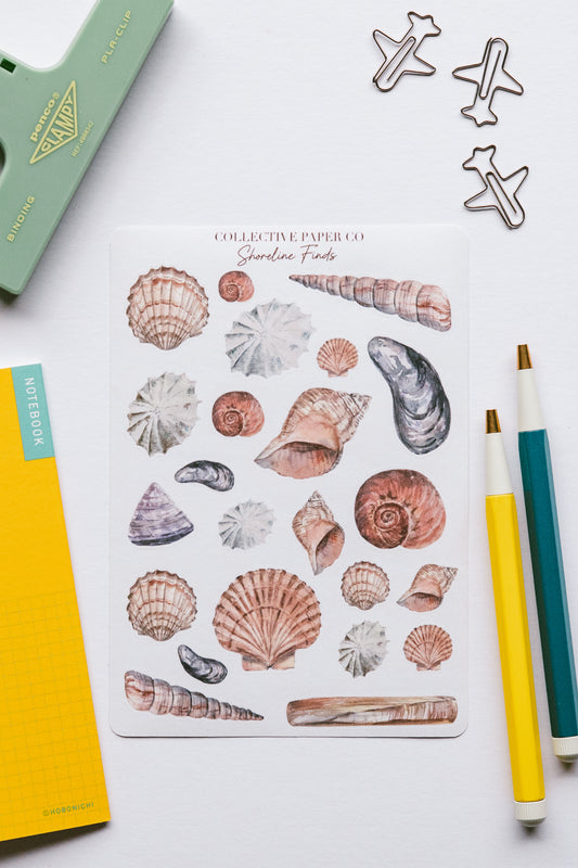 Shoreline finds