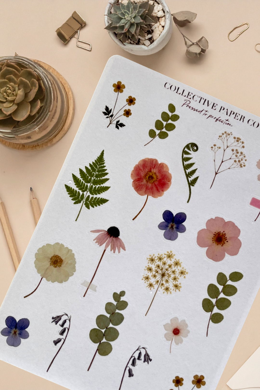 Sheet of pressed flowers and leaves with 'Collective Paper Co.' branding on a beige surface.