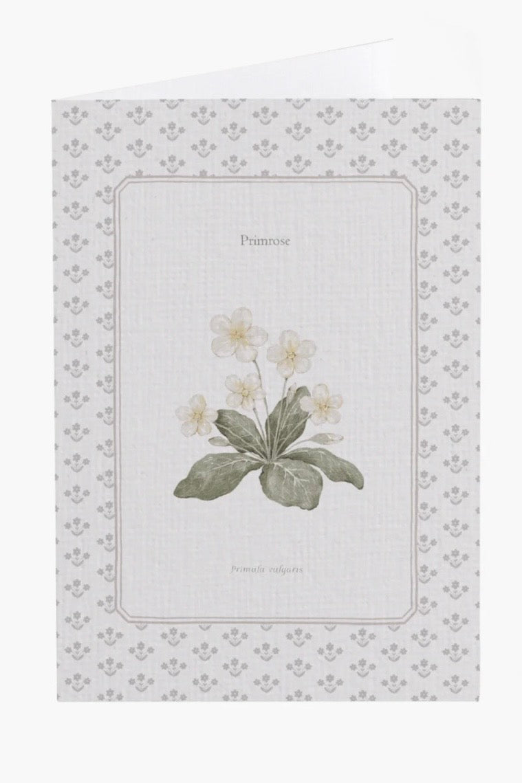 Primrose Flower Card