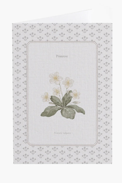 Primrose Flower Card