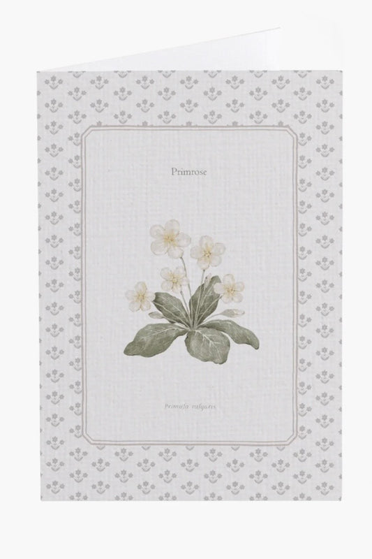 Primrose Flower Card
