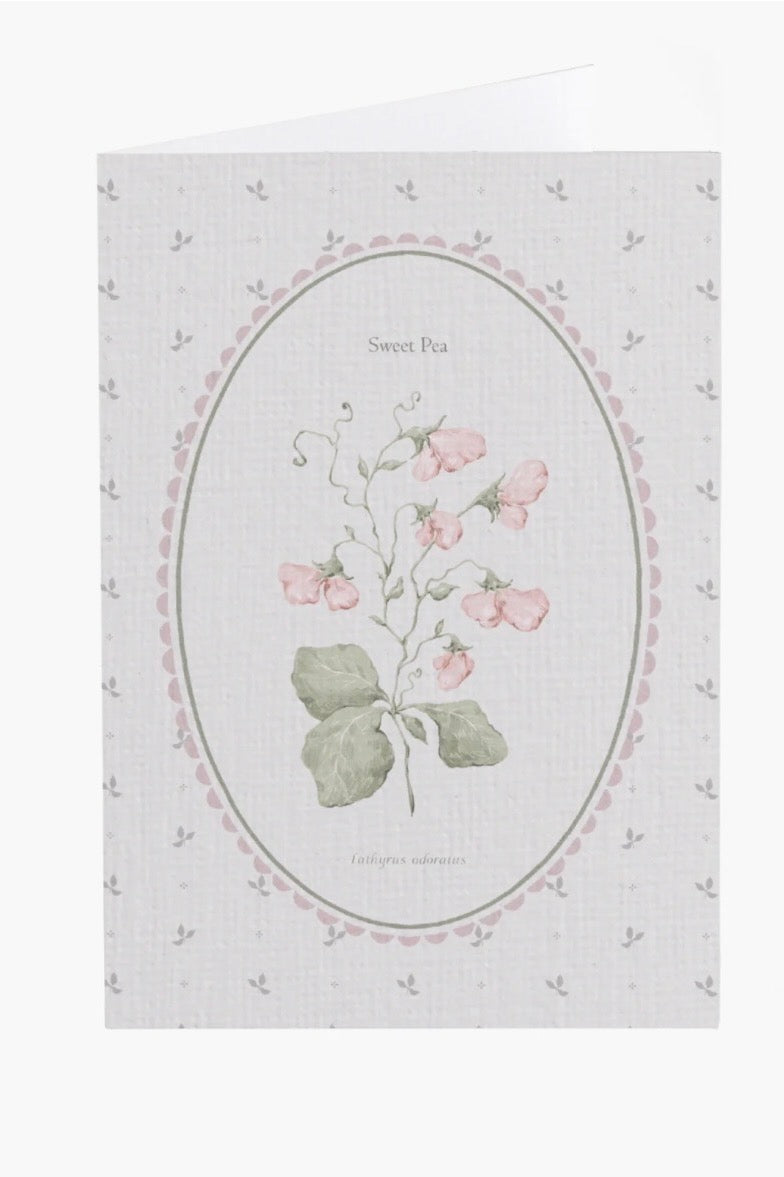 Sweet Pea Flower Card