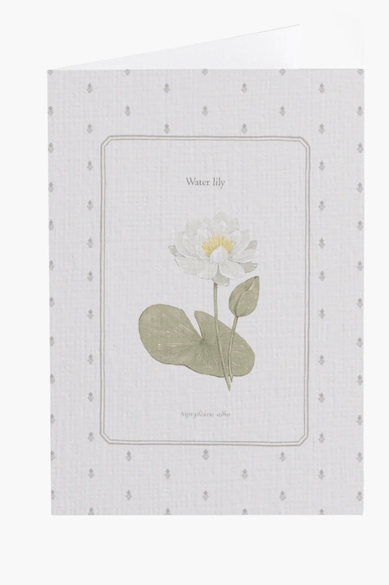 Water Lily Flower Card