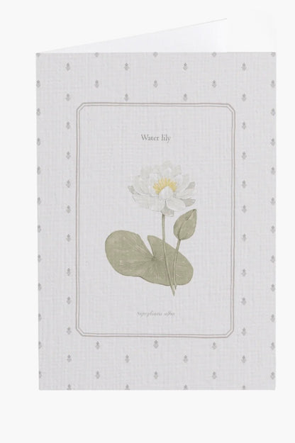 Water Lily Flower Card