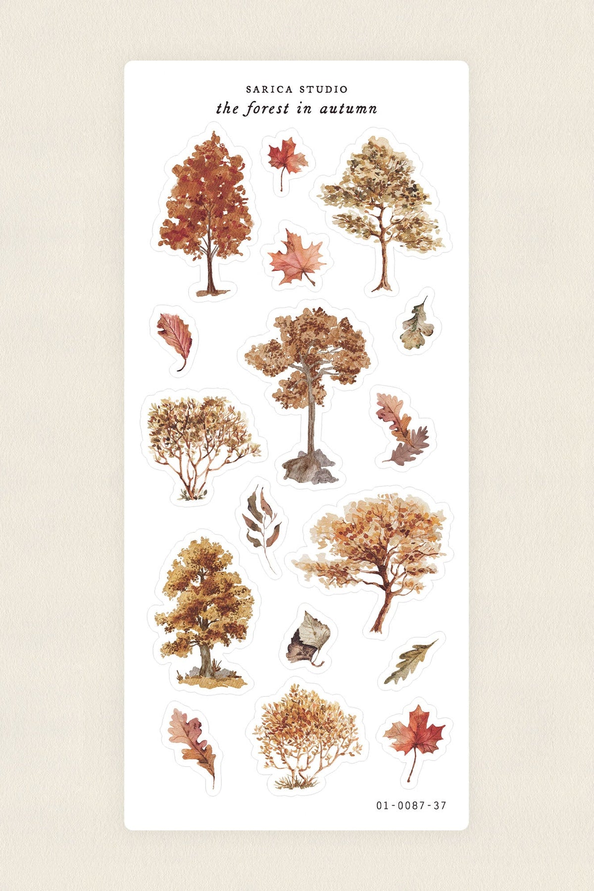 Sarica Studio - Forest In Autumn