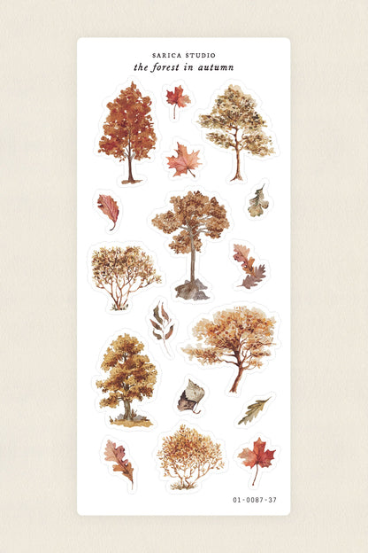 Sarica Studio - Forest In Autumn